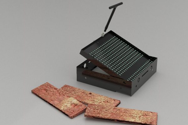 Chameleon-Brick-Slip-Warner-Bros